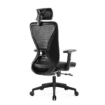 Lalo - Ergonomic Office Chair Revolving