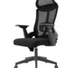Ergonomic Full Mesh Chair Backcare