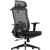 Imported Ergonomic Mesh Executive Office Chair with Adjustable Headrest Black