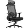 Imported Ergonomic Mesh Executive Office Chair