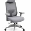 Grey mesh ergonomic office chair with headrest and adjustable armrests